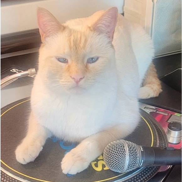 Like this listing 🩷 Let’s connect & be friends! READ BELOW 🥰🪽 - Picture 5 of 9